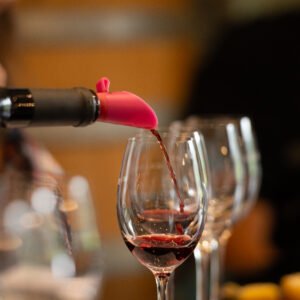 Tour guiado em vinícola